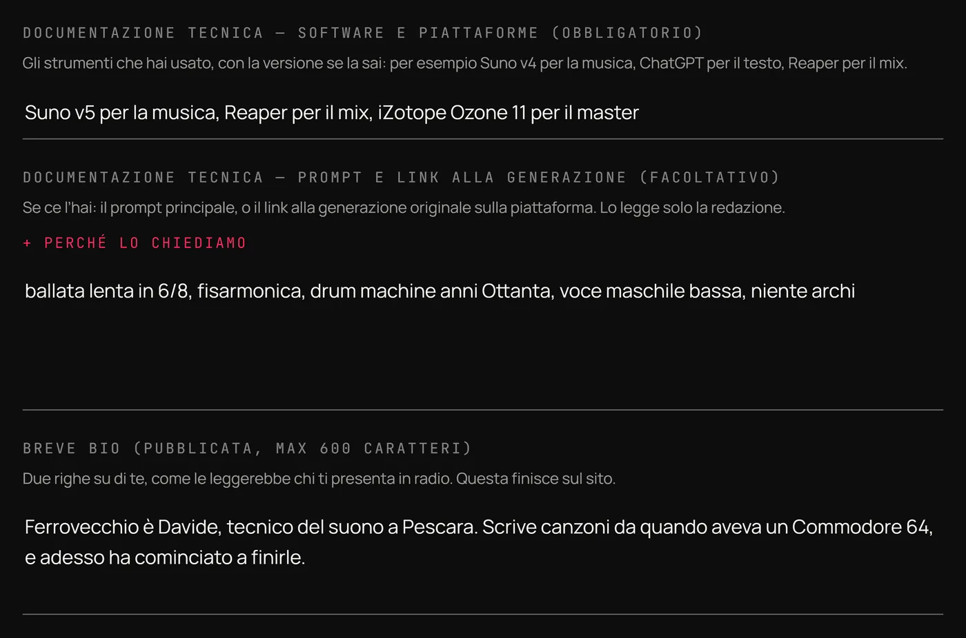 I campi della documentazione tecnica, con gli strumenti usati e il prompt, e il campo della biografia
